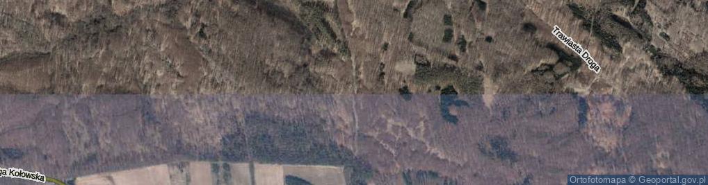 Zdjęcie satelitarne Dobropole Gryfińskie ul.